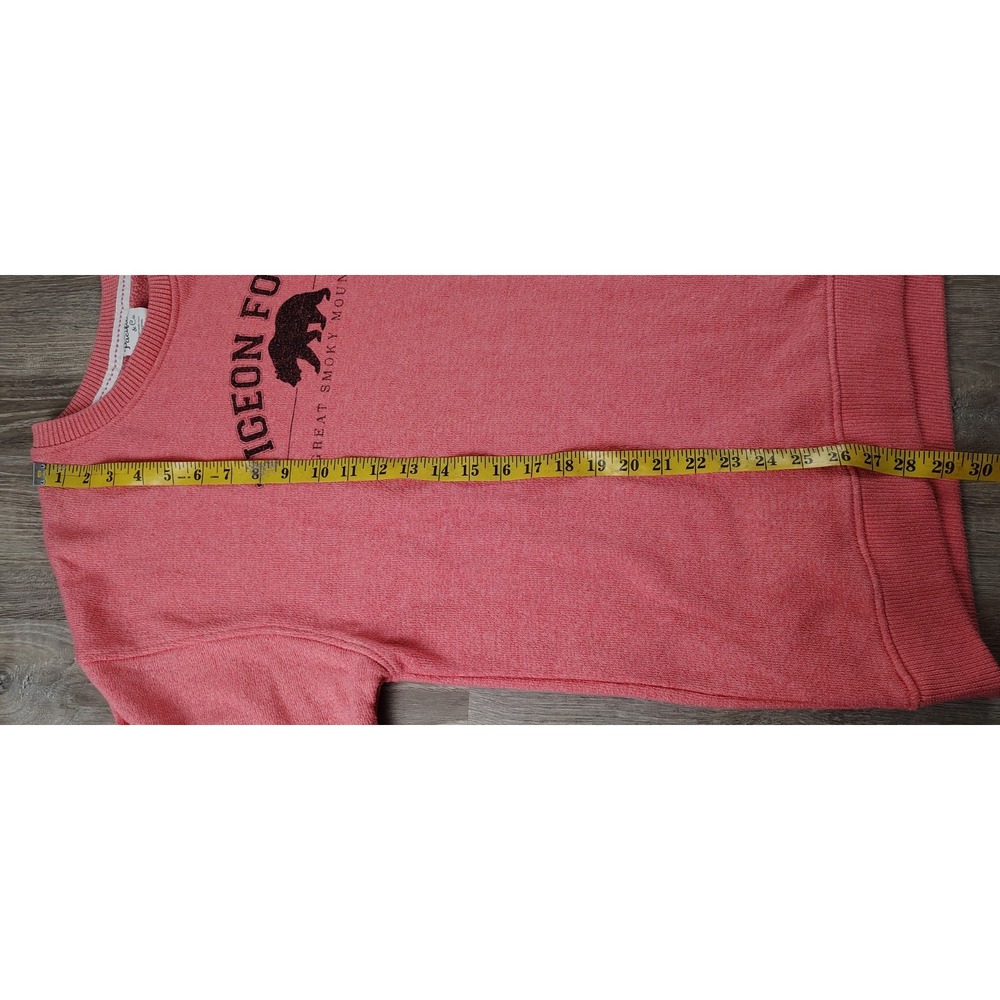 Pacific &‎ Co XL Pink Pigeon Forge Sweater Pullover Crewneck Long Sleeve Cozy - Picture 7 of 9